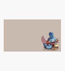 pokemon Photographic Print