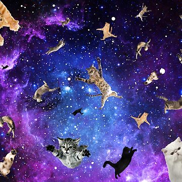 Artwork thumbnail, Space Cats by WonderFlux