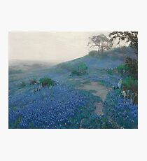 Julian Onderdonk - Blue Bonnet Field, Early Morning, San Antonio Texas Photographic Print