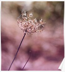 Nature in Pink Poster