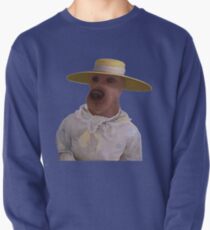 Scooby Doo Plane Disguise Pullover Sweatshirt