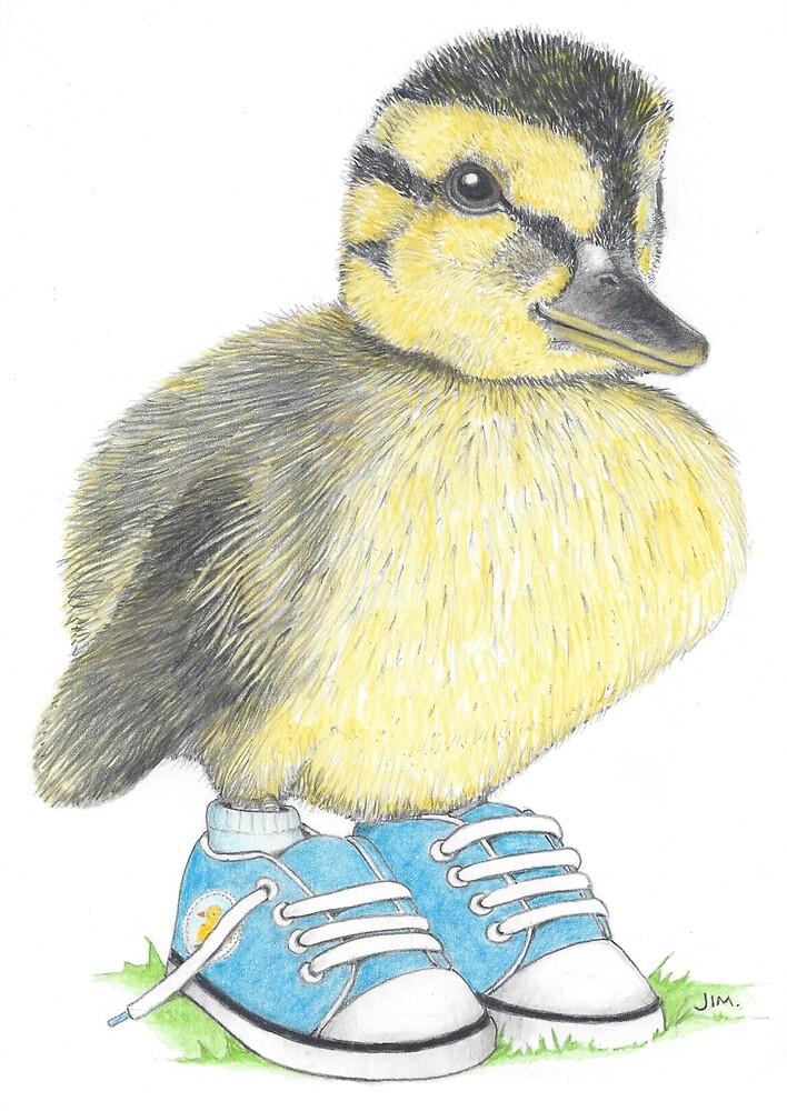 Duckling in sneakers by JimsBirds
