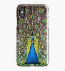 Symmetry iPhone Case/Skin