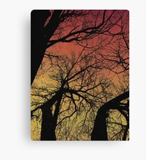 Branching Canvas Print