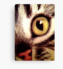 Katze Canvas Print