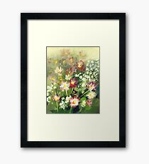 daisies Framed Print