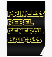 Princess Leia: A Summary Poster