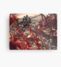 The Way Back Metal Print