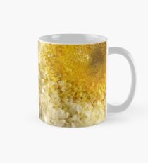 Kap-Gänseblümchen Tasse (Standard)