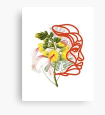 Natural History Canvas Print
