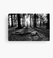 Long Shadow Canvas Print