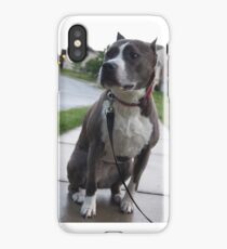 Pit Bull iPhone Case/Skin
