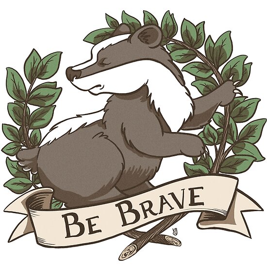 privacy badger brave