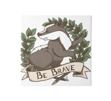 privacy badger brave