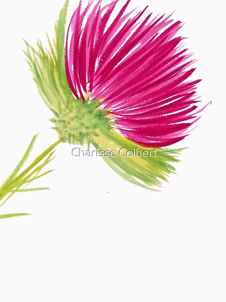 Brilliant Thistle by charissecolbert
