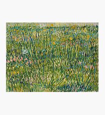 Vincent Van Gogh - Patch of grass Photographic Print