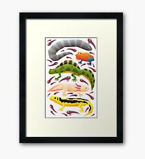 Amphibians Framed Print