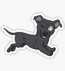 Dazzle Sticker