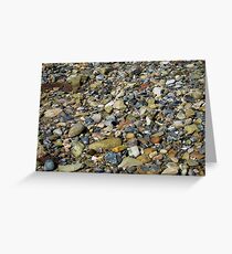 a natural history in colour Greeting Card