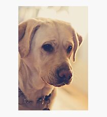 Helinka IV Photographic Print