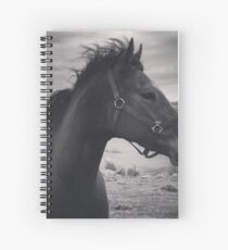 Halo Dancer Spiral Notebook