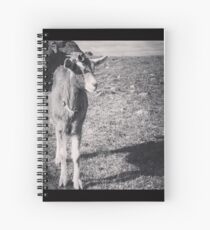 Flynn Spiral Notebook