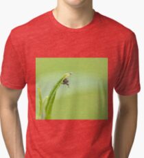 Cionus hortulanus weevil looking down Tri-blend T-Shirt