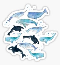 Whales, Orcas & Narwhals Sticker