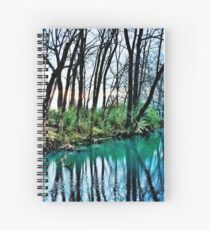Winter Blues Spiral Notebook
