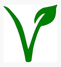 Vegetarian Symbol Photographic Print