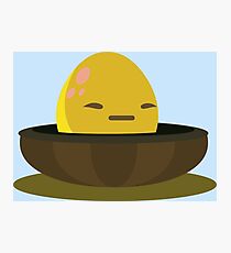 Firebog egg - glitch videogame Photographic Print