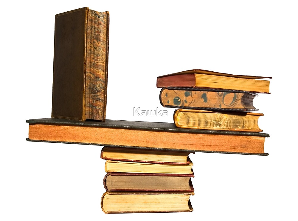 balancing-the-books-by-kawka-redbubble