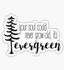 evergreen Sticker
