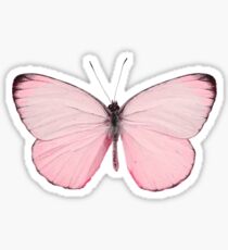 Pink Butterfly Sticker