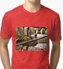 Colourful Emu Tri-blend T-Shirt