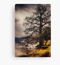 Life on the Edge Canvas Print