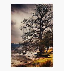 Life on the Edge Photographic Print