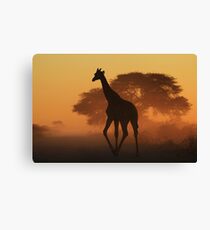 Giraffe - African Wildlife Background - Triangles in Nature Canvas Print