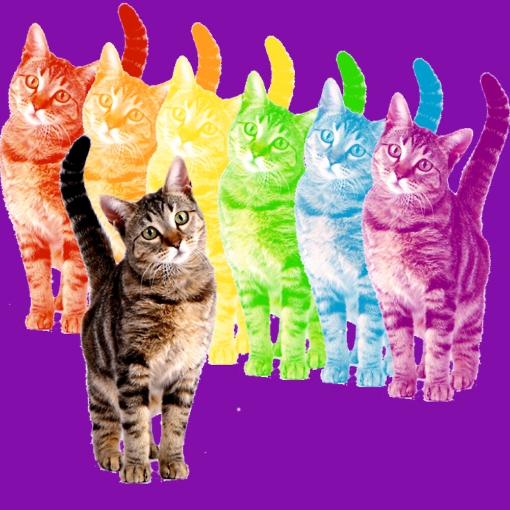 "rainbow cats" by herizon Redbubble