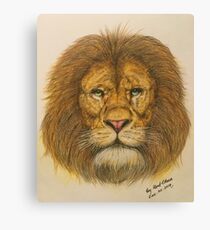 Regal Lion Drawing Canvas Print