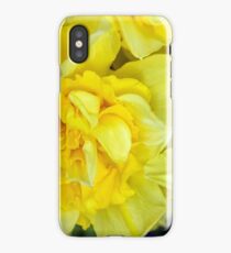 Yellow daffodils macro iPhone Case/Skin