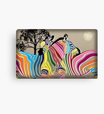 zebra Canvas Print