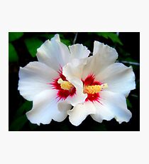 Side by Side Photographic Print