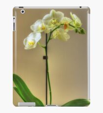 Orchid iPad Case/Skin