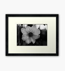 Flower Framed Print
