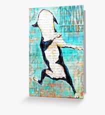 Boston Terrier Greeting Card