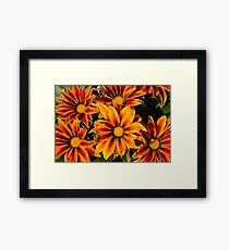 Orange Flowers Framed Print