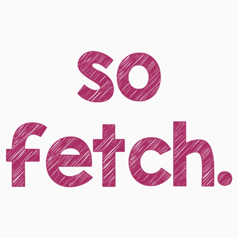 so fetch - so fetch company