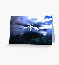 Lugia accros the sea Greeting Card