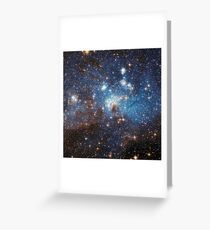 LH_95 Greeting Card